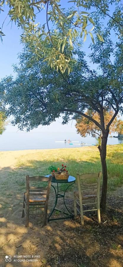 Family Home Myrina Lemnos Ngoại thất bức ảnh